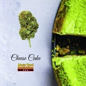 cheese cake